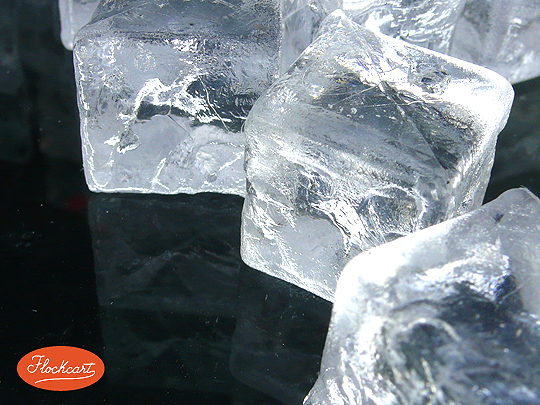 Gli Ice cube Mini rappresentano uno splendido strumento di lavoro per fotografi di Still Life 