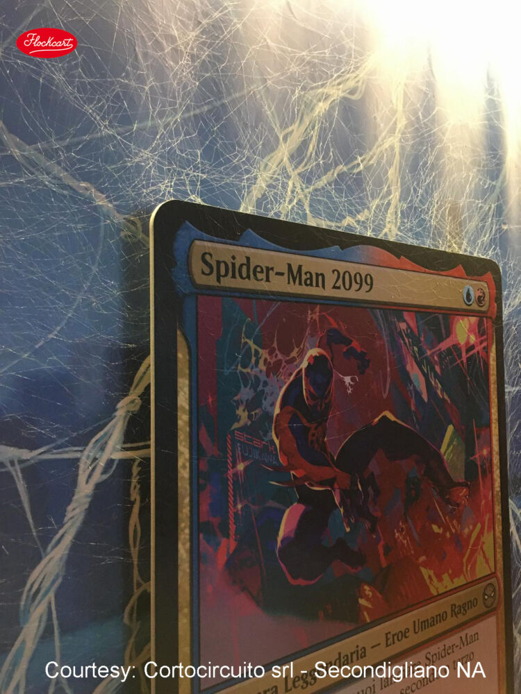 Araknide - immagine 18