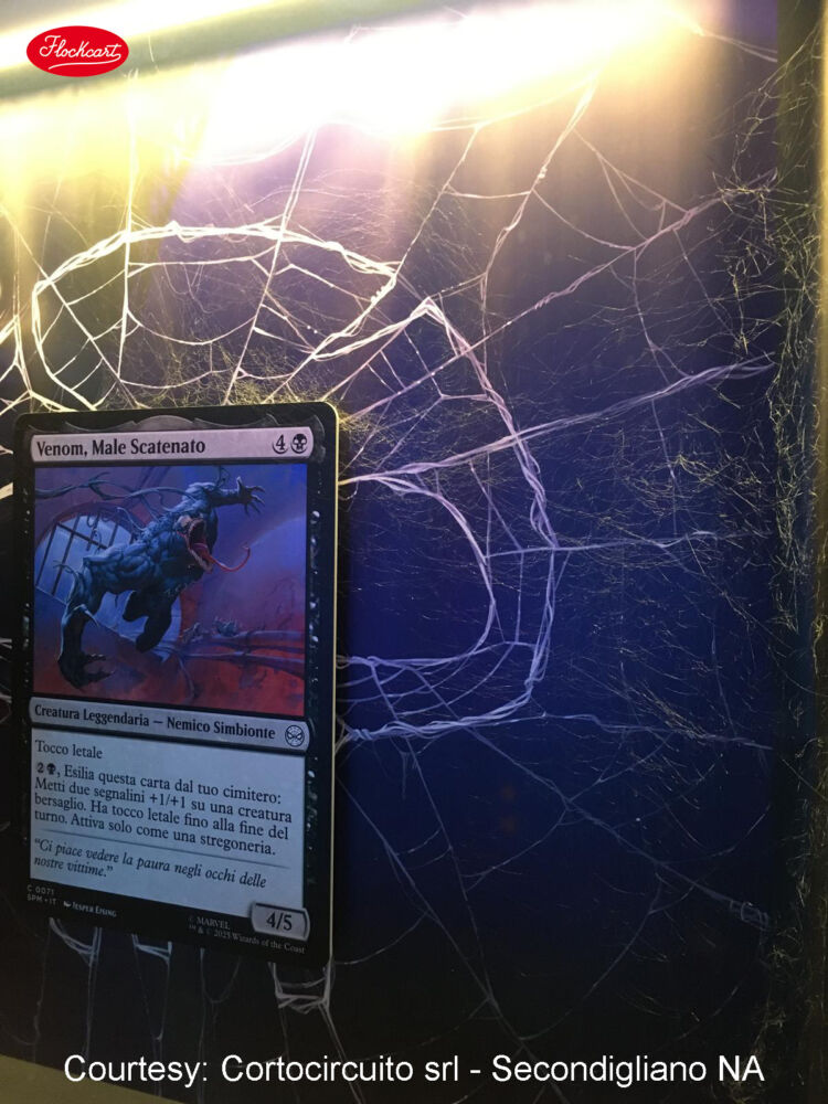 Araknide - immagine 19