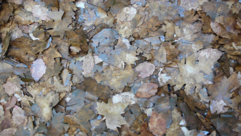 Foglie Finte Invernali - immagine 43