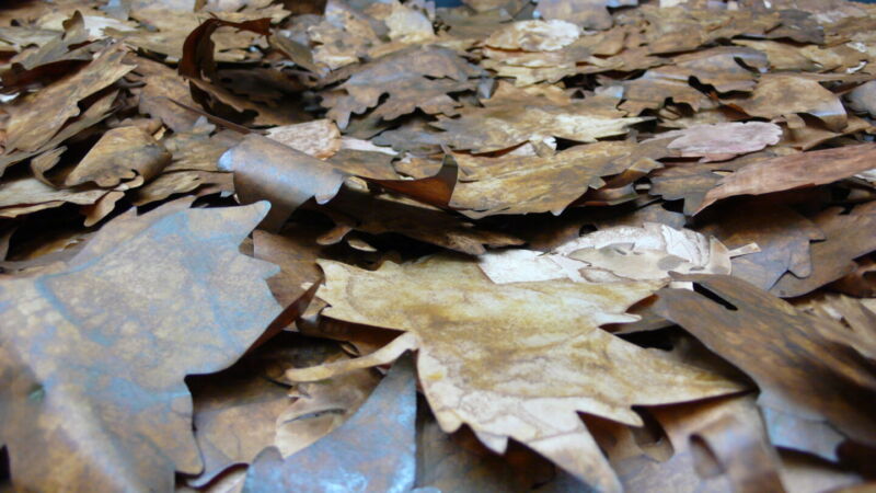 Foglie Finte Invernali - immagine 42