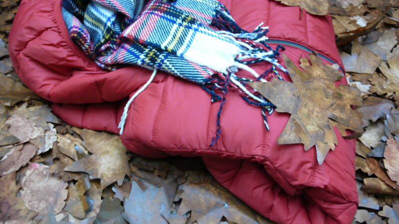 Foglie Finte Invernali - immagine 38