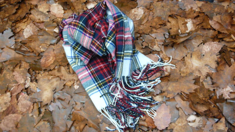 Foglie Finte Invernali - immagine 37