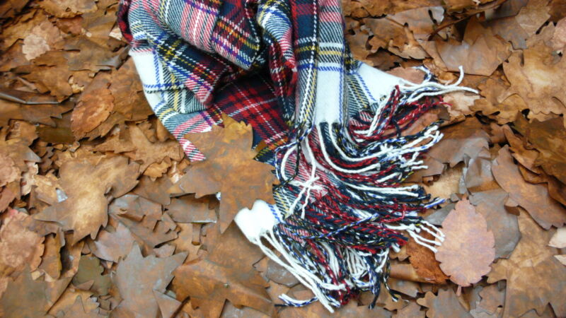 Foglie Finte Invernali - immagine 36