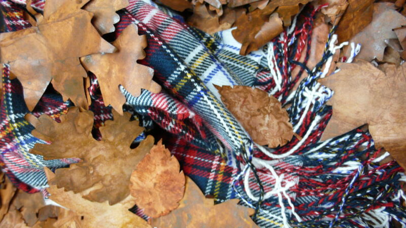 Foglie Finte Invernali - immagine 29