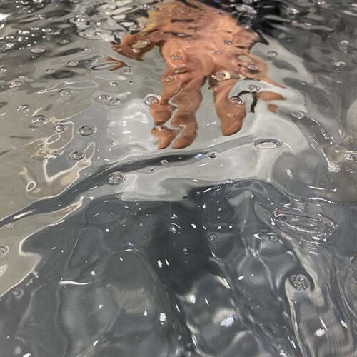 Acqua