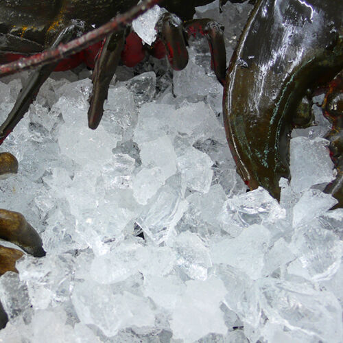 Chopped Ice