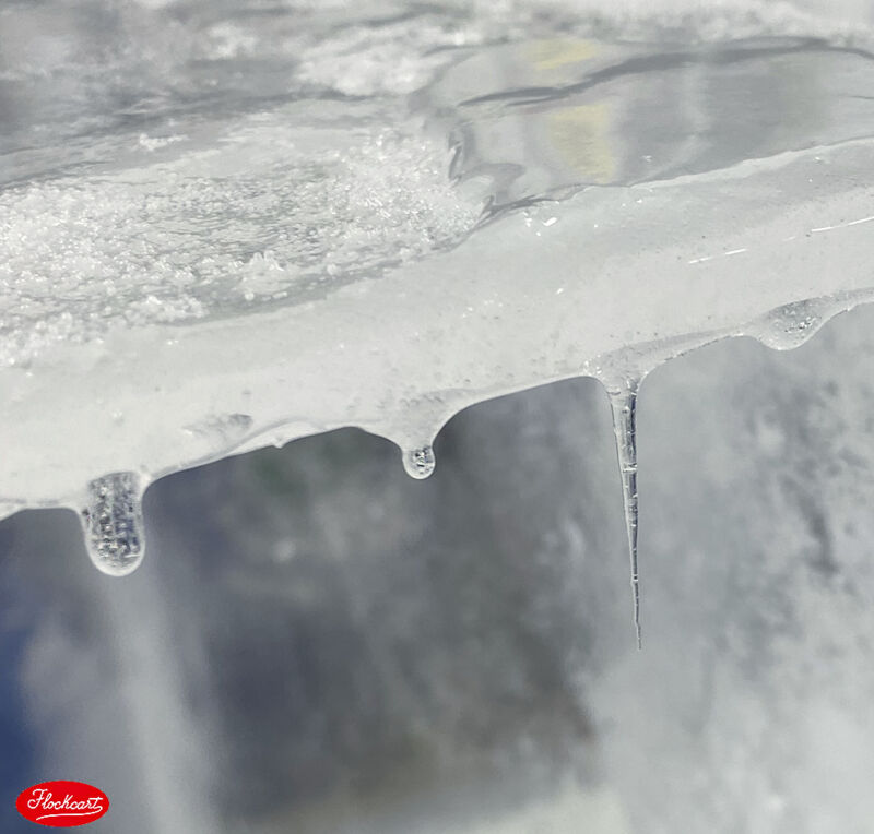 WinterNow - immagine 11
