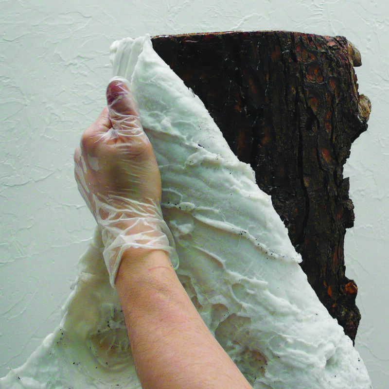 Silwa Paint Plus