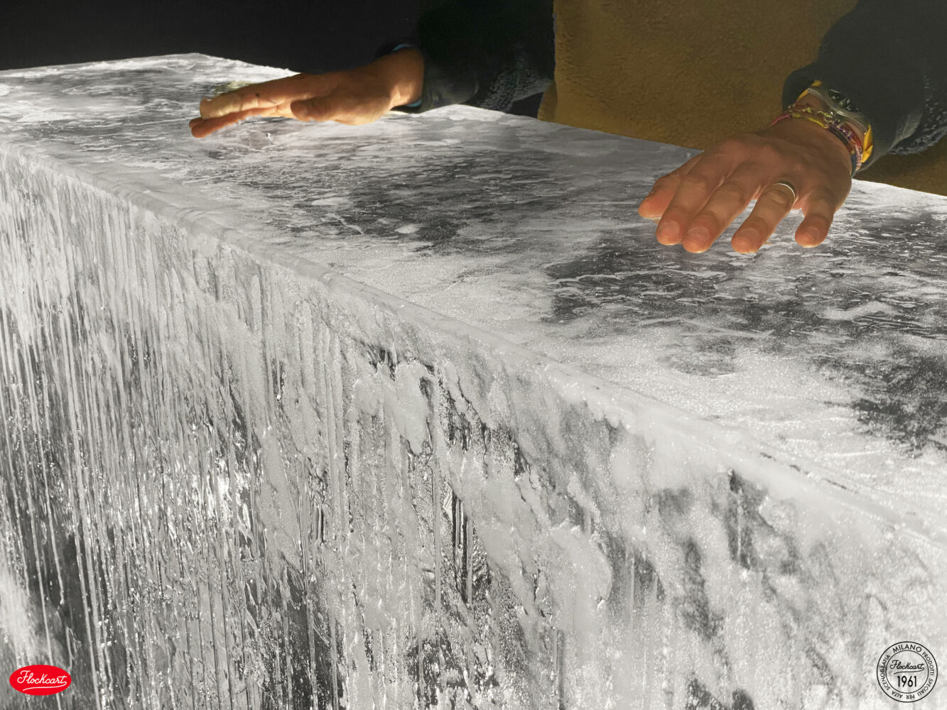 Banconi di Ghiaccio - immagine 8