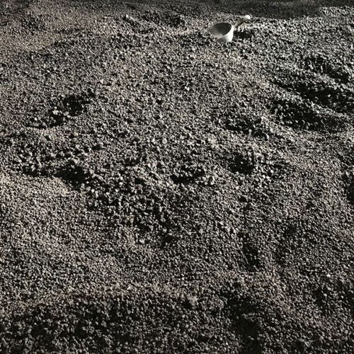 Terra