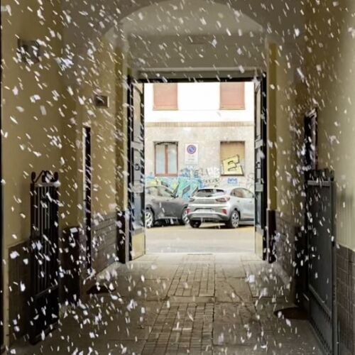 Fiocco di Neve