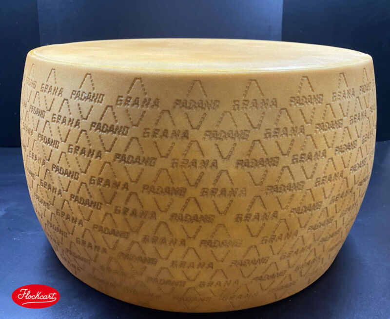 Forma di Grana Padano - immagine 7